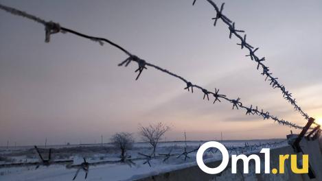 Экс-депутат Омского горсовета Дмитрий Петренко не смог обжаловать приговор за фейки об армии