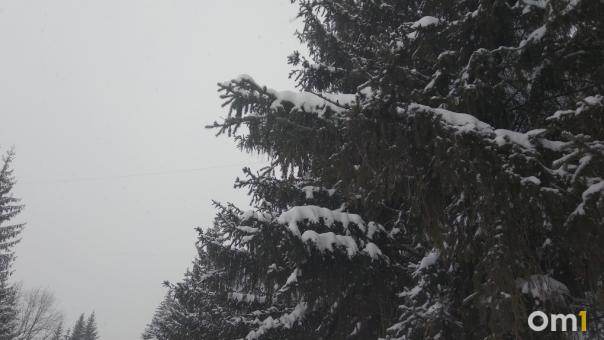 Потепление до +1 градуса перед резким похолоданием ждёт новосибирцев 8 января