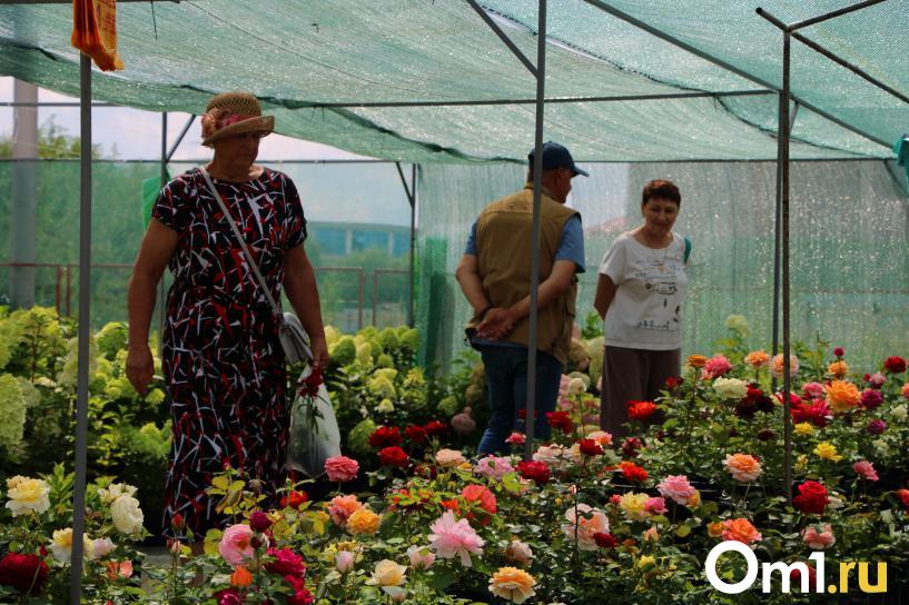 Изображение фоторепортажа