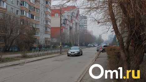 В «Сибуправтодоре» рассказали, как повлияли санкции на качество дорог в Омской области