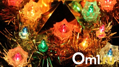 На фестивале «Зимний Любинский» для омичей создадут атмосферу советского Нового года