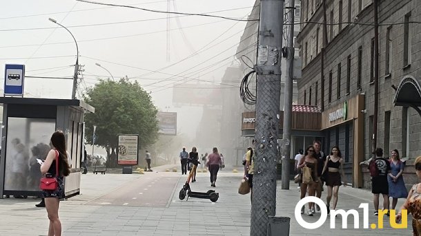 Мэрия Новосибирска назвала причину пылевых бурь на левобережье