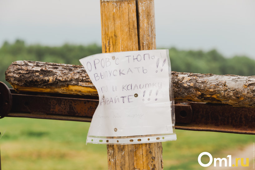 Изображение фоторепортажа