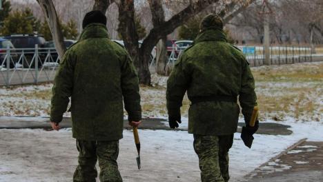 Памятник с богатырём времён Александра Невского и бойцом СВО появится под Новосибирском