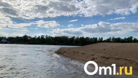 Подросток в Омской области отплыл от берега на 20 метров и утонул