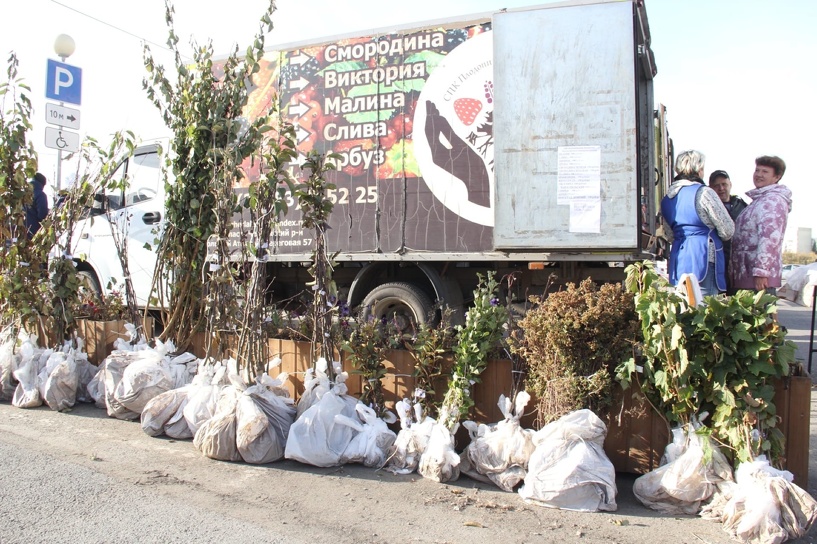 Изображение фоторепортажа