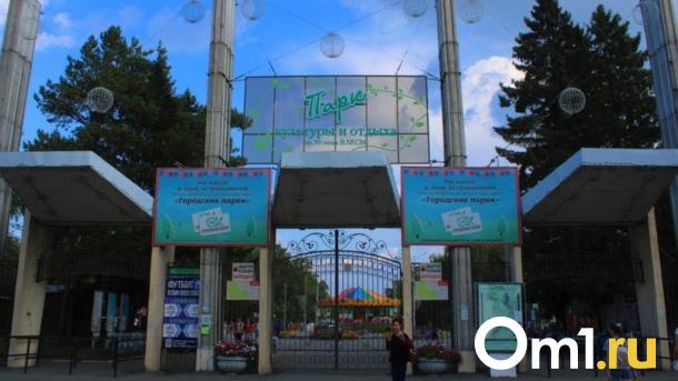 Из-за вырубки деревьев в омском парке уголовное дело завёл Следком России