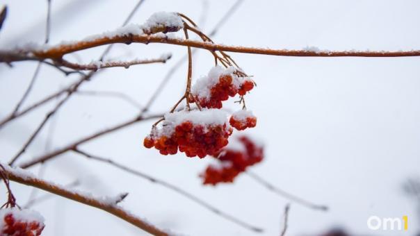В Новосибирске потеплеет до -5 градусов после лютых морозов