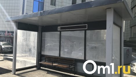 Со сносом остановки у зоопарка разберутся в мэрии Новосибирска по поручению Анатолия Локтя