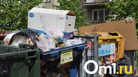 Новосибирцы страдают от вони с Гусинобродского мусорного полигона
