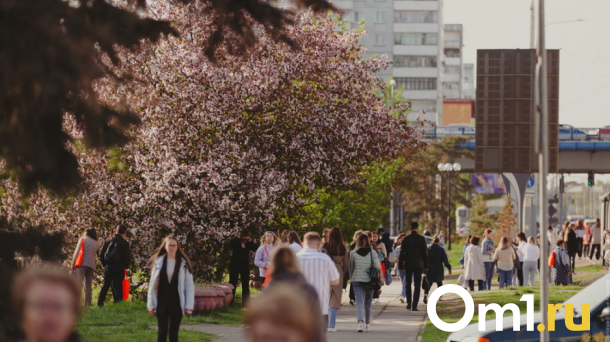 В Омскую область резко придёт мощное похолодание