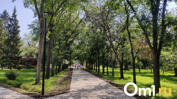 Бабье лето в Новосибирске достигнет пика в сентябре: даты