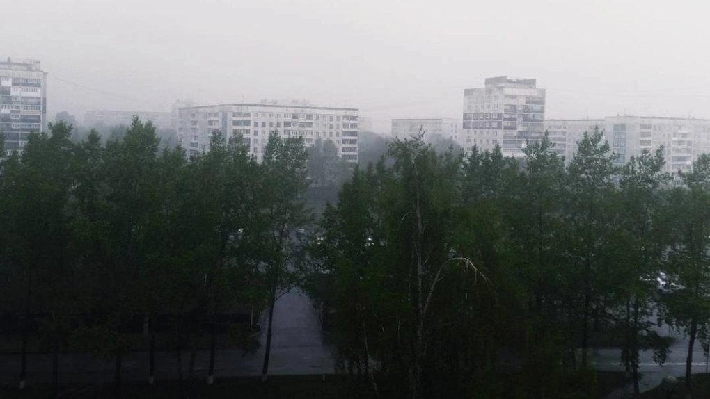 Май-2023 оказался самым холодным в Новосибирске за последние три года