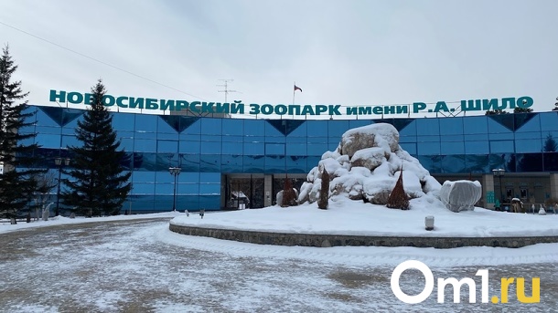 Один миллион человек посетил Новосибирский зоопарк за год
