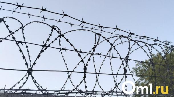 В Омске нашли пособника украинского военизированного объединения