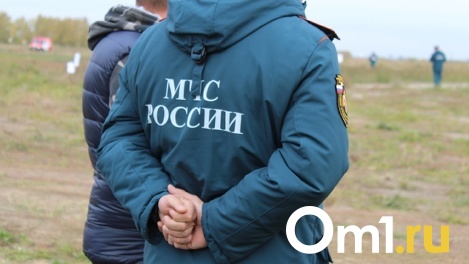 935 пожаров зарегистрировали в Новосибирской области за сутки