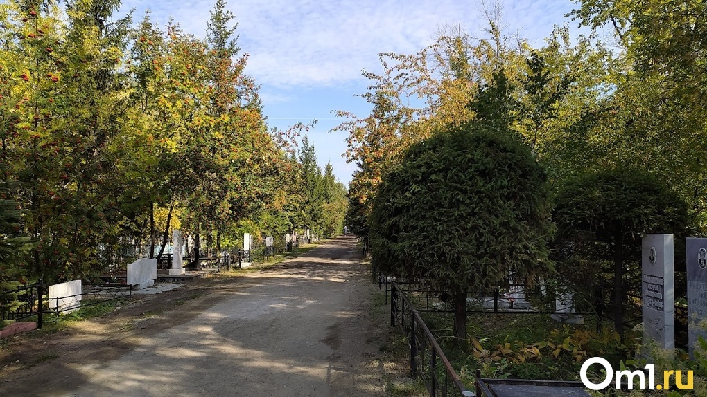 В Троицкую родительскую субботу на омском кладбище произошёл пожар