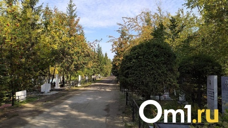 В Троицкую родительскую субботу на омском кладбище произошёл пожар