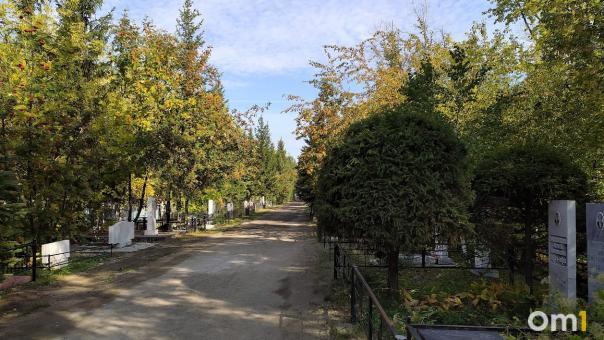 В Троицкую родительскую субботу на омском кладбище произошёл пожар