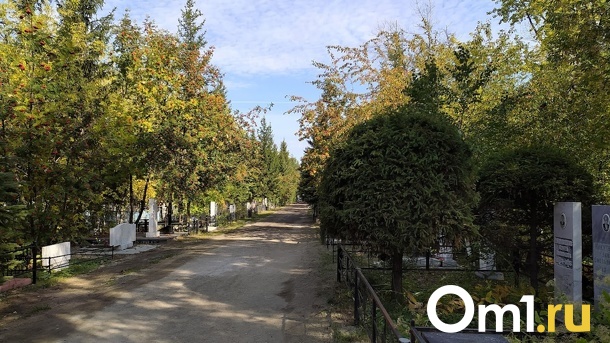 В Троицкую родительскую субботу на омском кладбище произошёл пожар