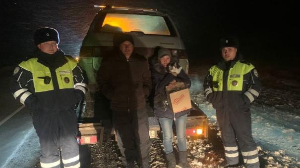 Семья глухонемых с котёнком едва не замёрзли на трассе под Омском