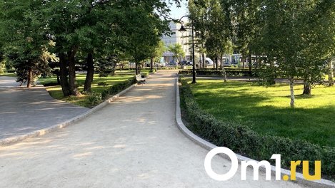 В центре Омска появится газон за 800 тысяч