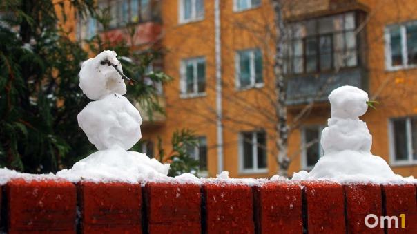 Метель в Омской области будет бушевать все выходные