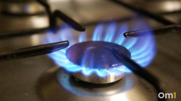 В Омске обсуждают возможность газификации дачных посёлков