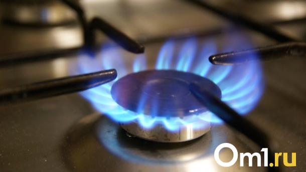 В Омске обсуждают возможность газификации дачных посёлков