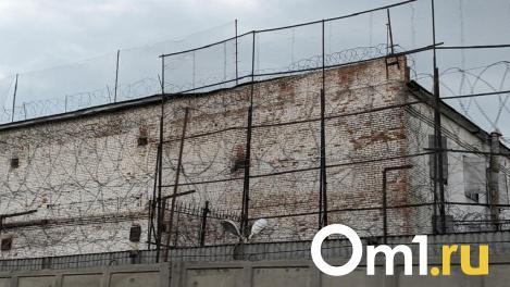 Омичку пришлось посадить в тюрьму, чтобы она начала выплачивать долг по алиментам