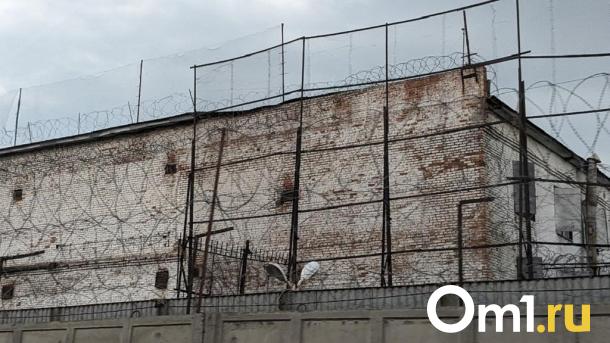 Омичку пришлось посадить в тюрьму, чтобы она начала выплачивать долг по алиментам