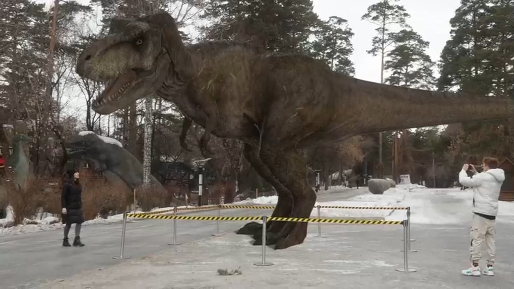 Видео с новосибирским динозавром стало хитом соцсетей