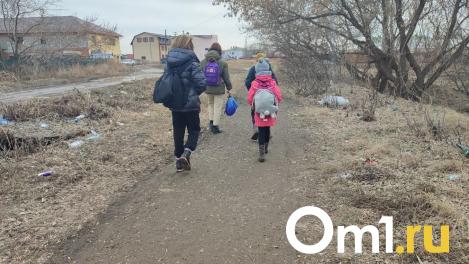 Полиция разыскивает семилетнюю девочку, пропавшую на «Привокзалке»