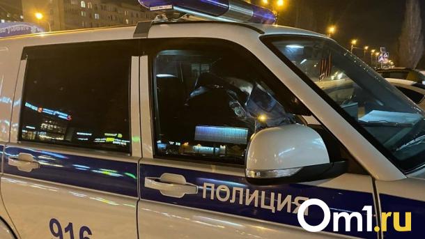 В Омской области иномарка сбила 7-летнюю девочку