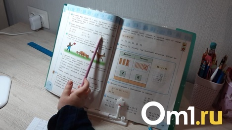 Экзамены перенесут? Омские школы могут столкнуться с дефицитом бумаги