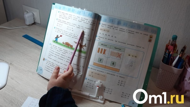 Экзамены перенесут? Омские школы могут столкнуться с дефицитом бумаги