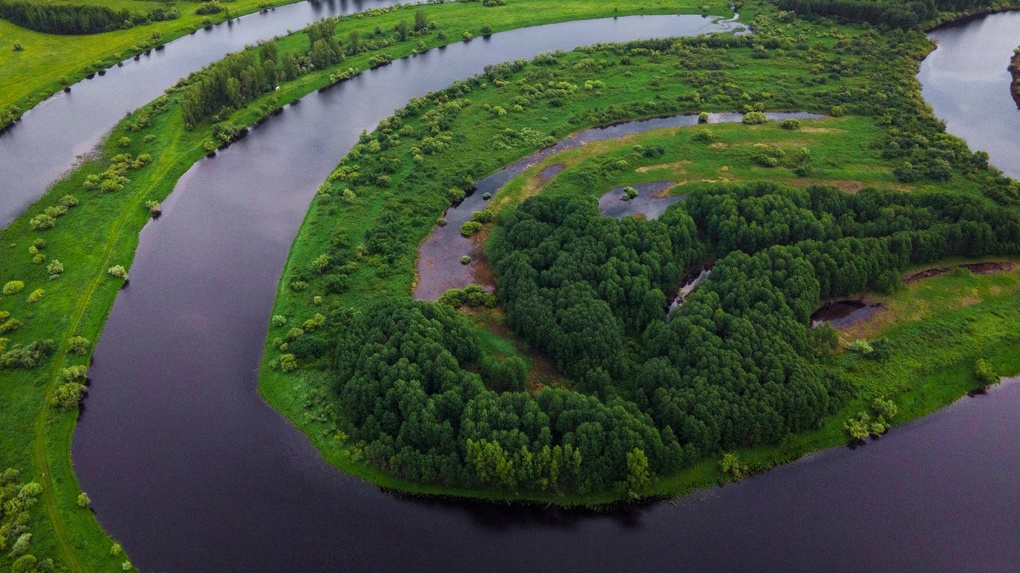 Сибирские нефтепроводчики восстанавливают биоразнообразие рек