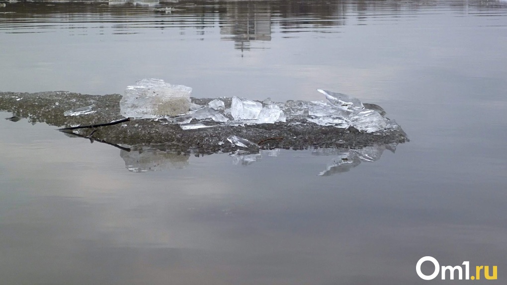 В черте Омска выявили экстремально высокое загрязнение воды в реке Омь