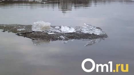 В черте Омска выявили экстремально высокое загрязнение воды в реке Омь