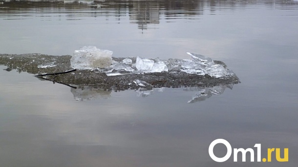 В черте Омска выявили экстремально высокое загрязнение воды в реке Омь
