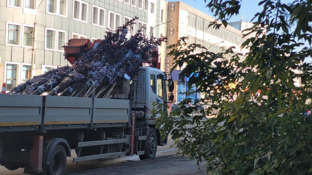 В Новосибирске высадят трёхметровые ели из Москвы