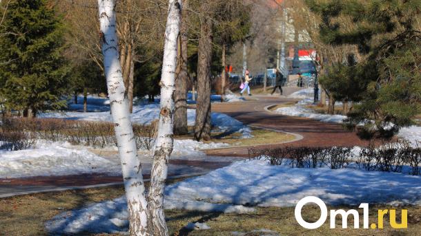 В омском Гидрометцентре озвучили прогноз погоды на май