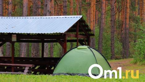 Омичам разрешили посещать леса, но есть нюанс