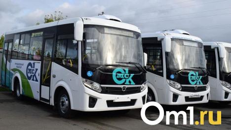 Автобусы до омских кладбищ на Радоницу пустят заранее