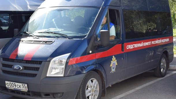 Следователи проверят информацию о женщине, выкинувшей ребёнка из коляски под Новосибирском