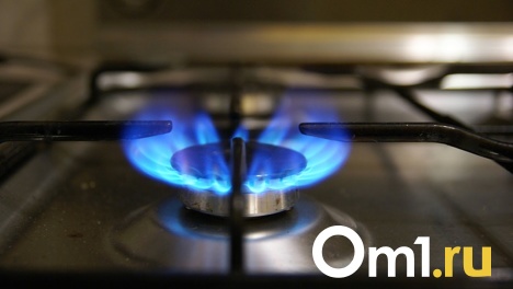 Омское УФАС оштрафовало «Межоблгаз» за платную догазификацию