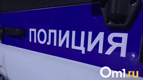 В Омской области работник скотобойни угнал чужую машину