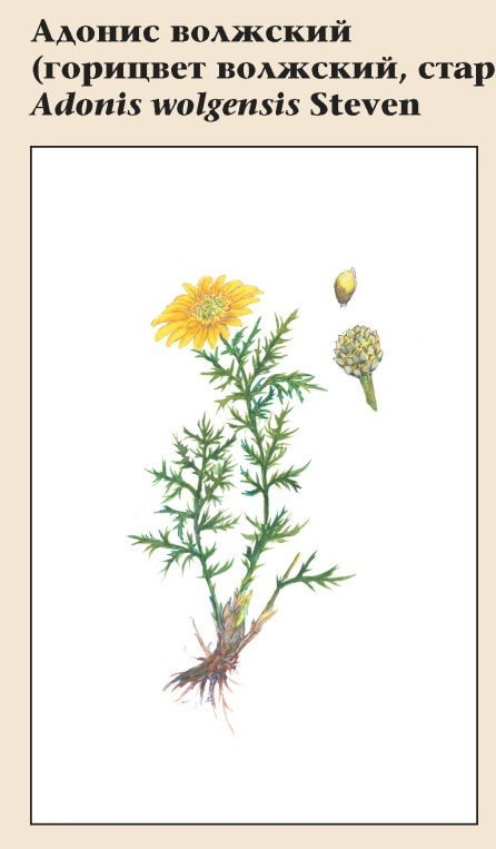 Изображение фоторепортажа