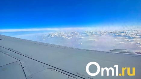 Самолёт из Москвы не смог приземлиться в Омске из-за плохих погодных условий