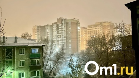 В Омске для крупных инвесторов установили льготную аренду на земельный участок под масштабные проекты